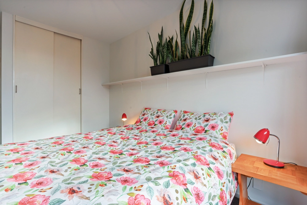 Photos of 187 Ashgrove Terrace