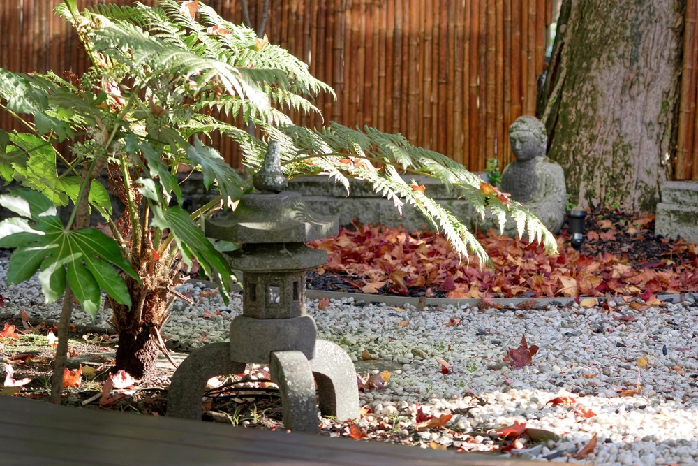 Photos of 20B Orakei Road