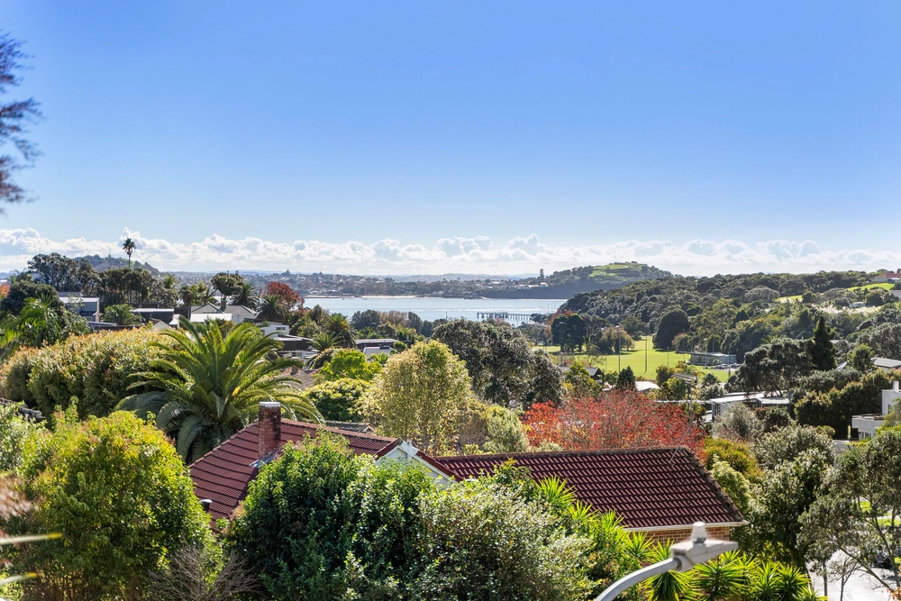 Photos of 93 Tautari Street