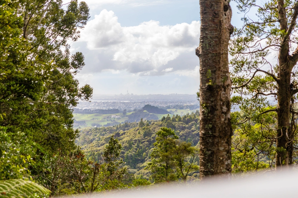 Photos of 136 Opanuku Road