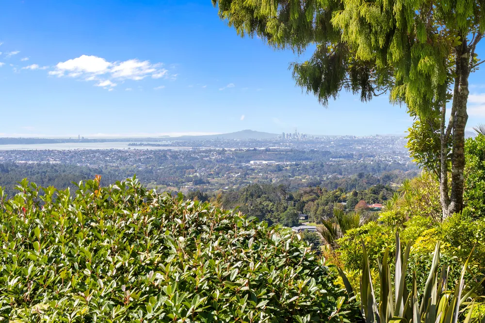 Photos of 858 West Coast Road