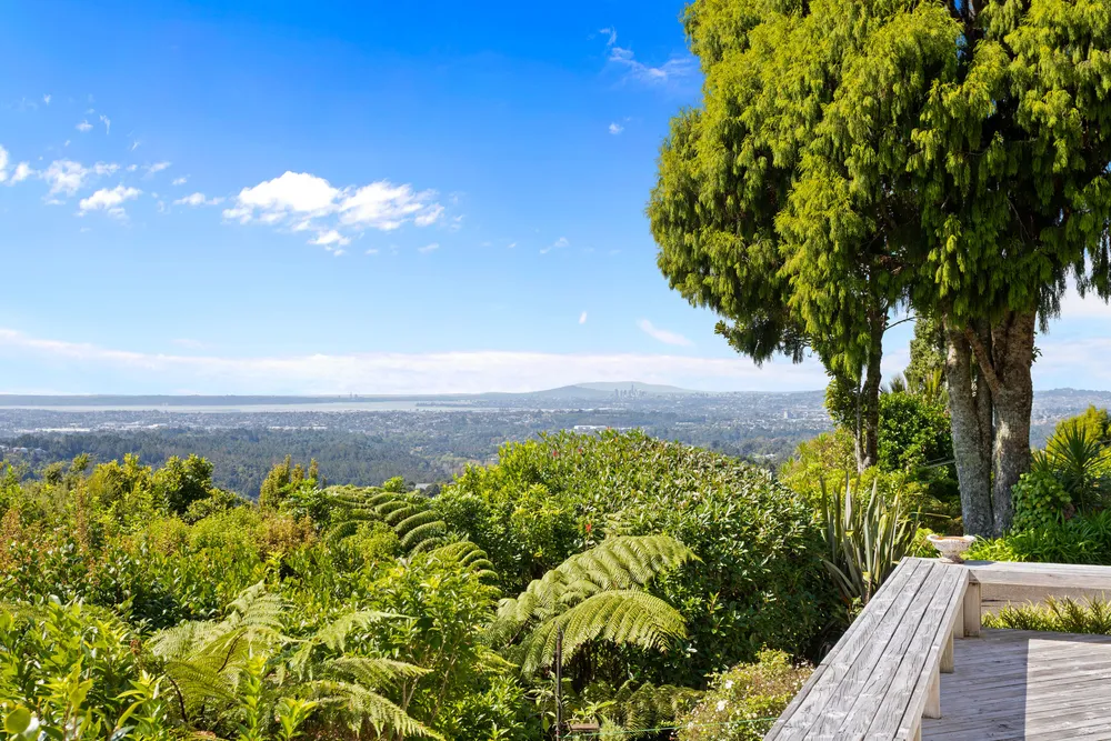Photos of 858 West Coast Road