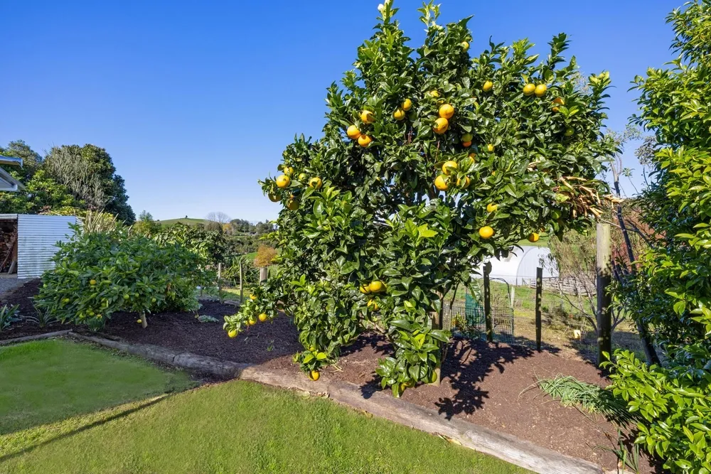 Photos of Unit 3, 957 Taotaoroa Road