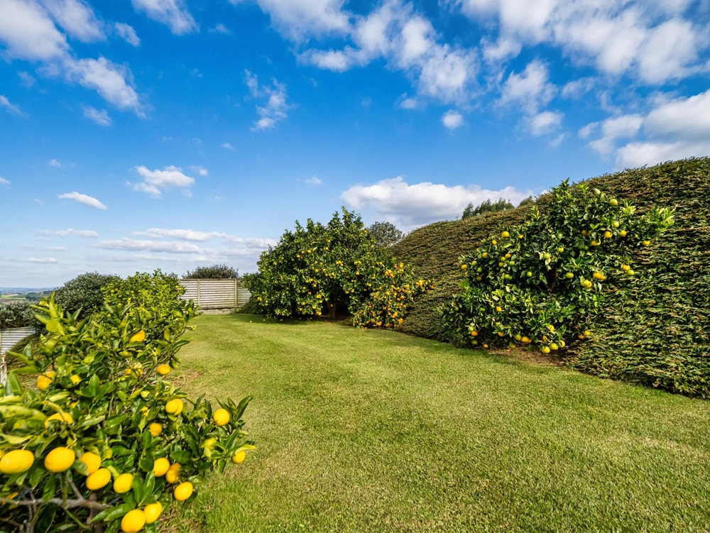 Photos of 265A Hot Springs Road