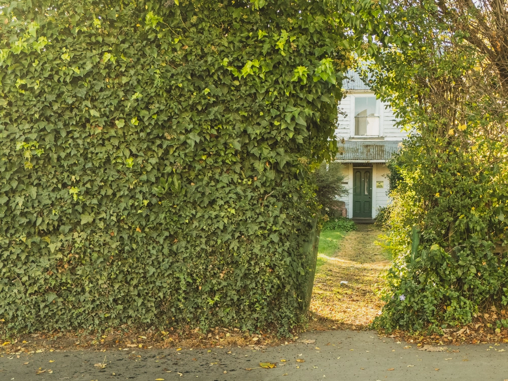 Photos of 11 Rue Balguerie