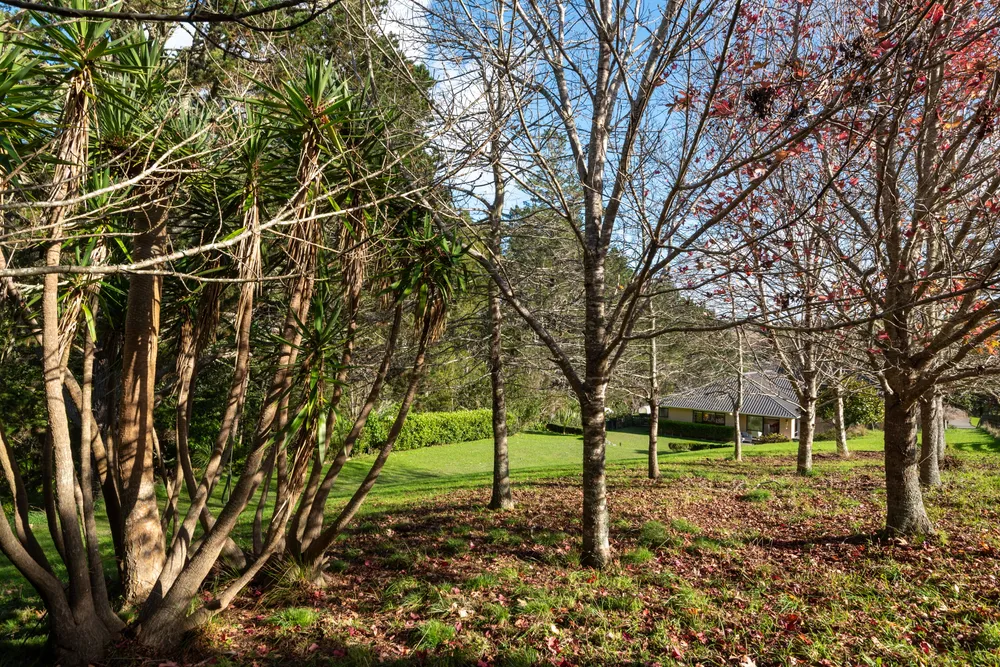 Photos of 108 Paremoremo Road