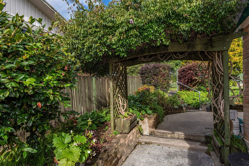 Photos of 16 Sorrento Street