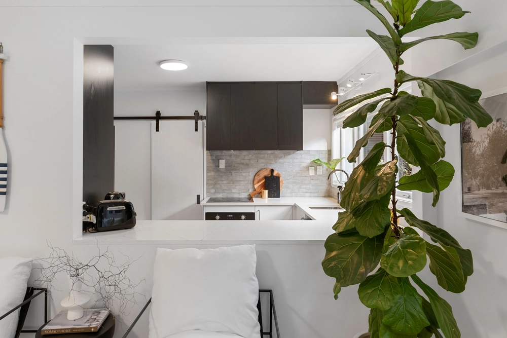 Photos of 16 Rangitoto Terrace
