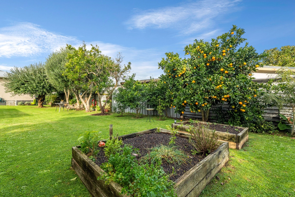 Photos of 15 Albion Place