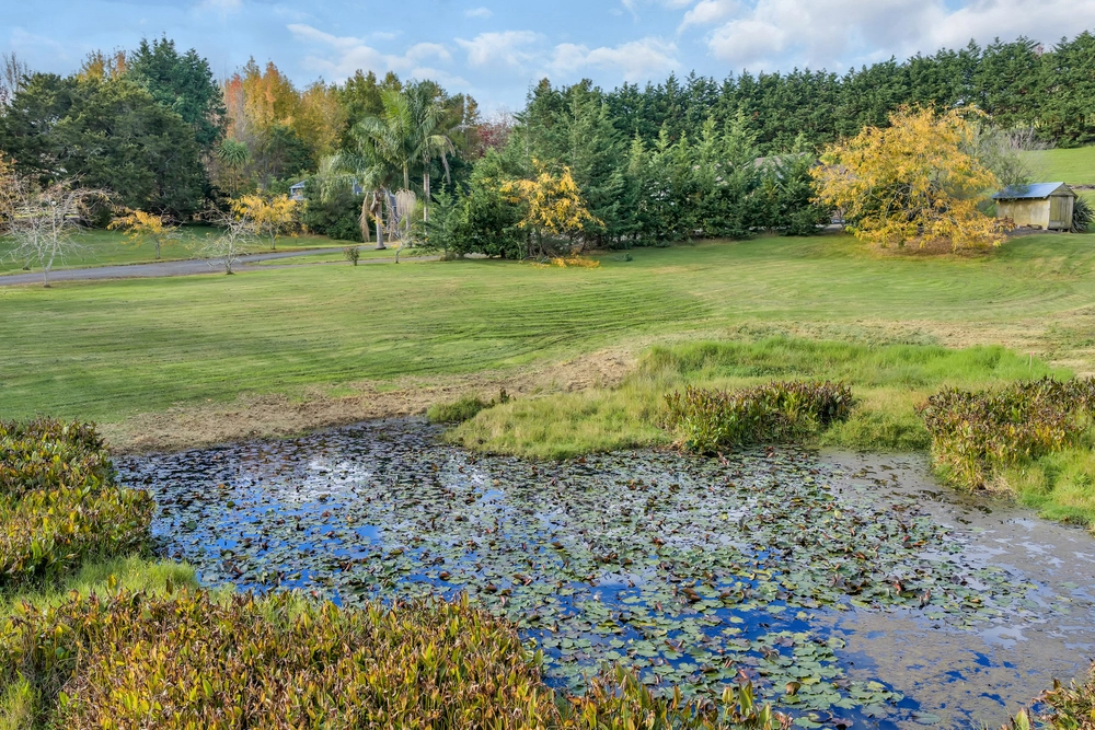Photos of 43 Roydon Drive