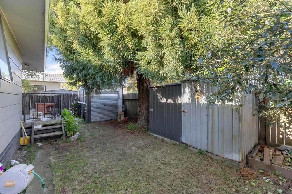 Photos of 25B Dominion Road