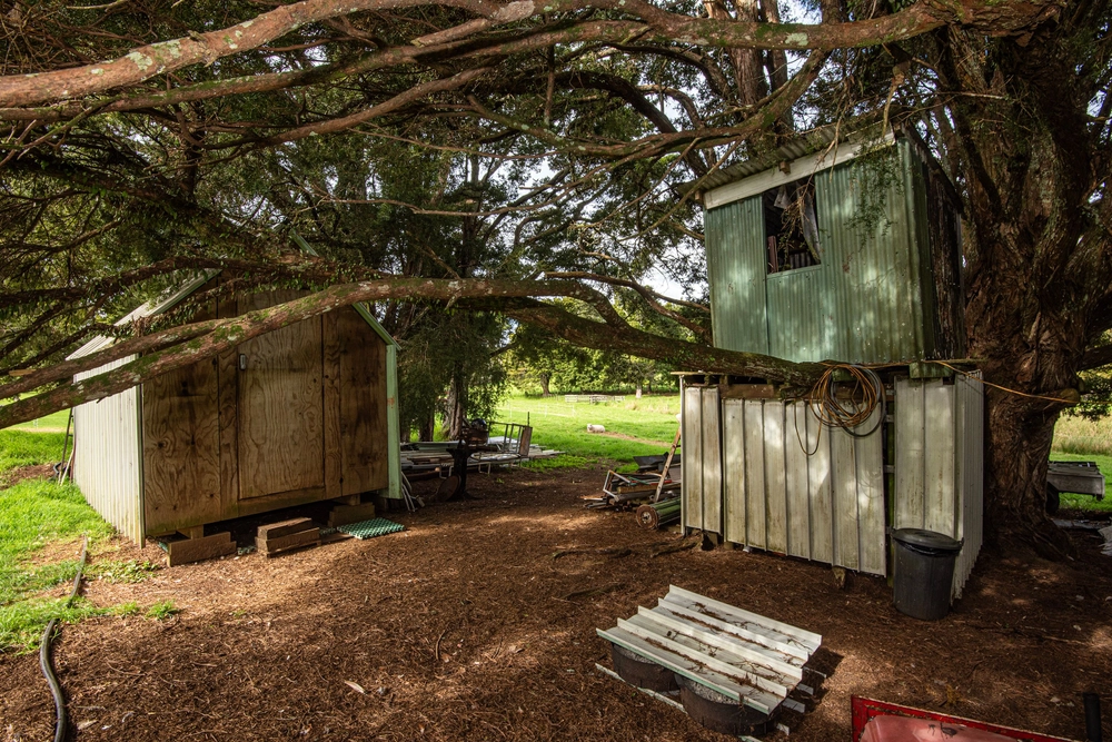 Photos of 27 Hodge Road