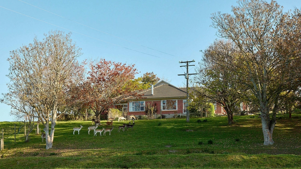 Photos of 691 Pleasant Point Highway