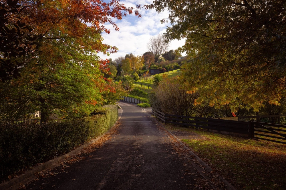 Photos of 60 Miles Lane