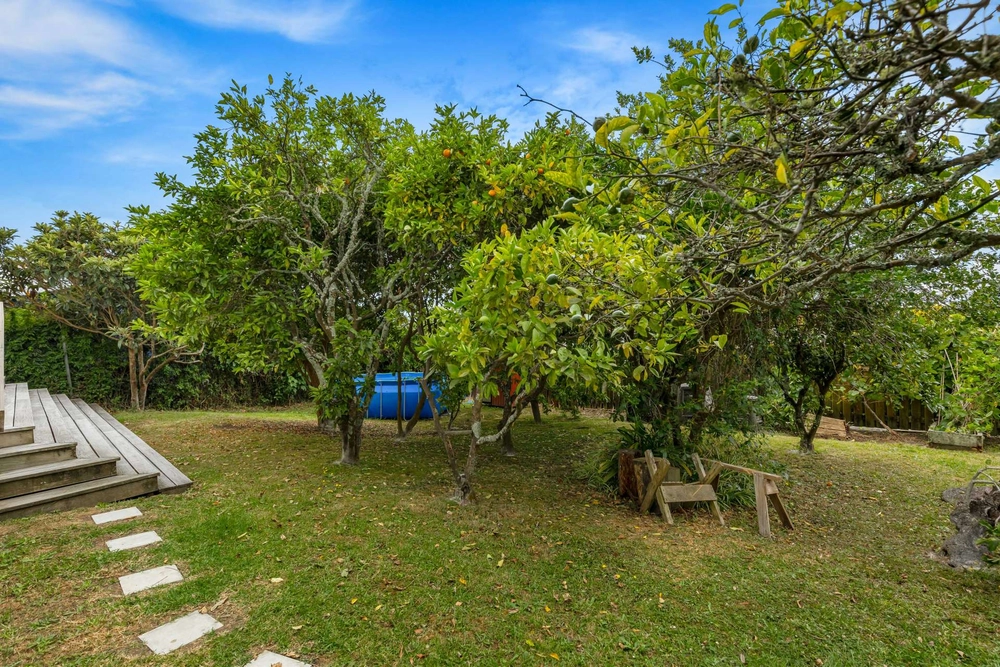 Photos of 34 neil avenue te