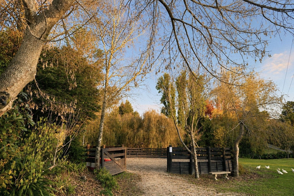 Photos of 114 Ness Valley Road