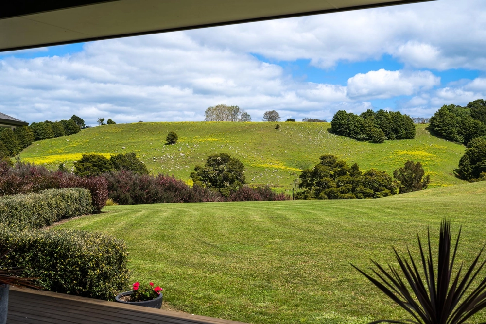 Photos of 4 Field View
