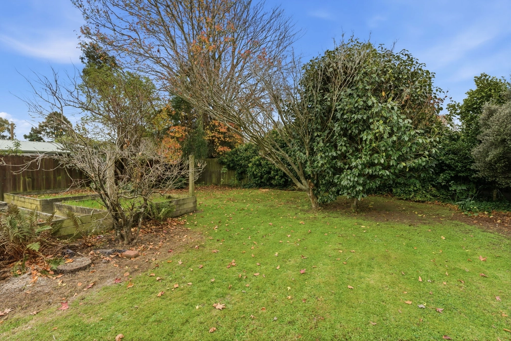 Photos of 50 Staveley Street