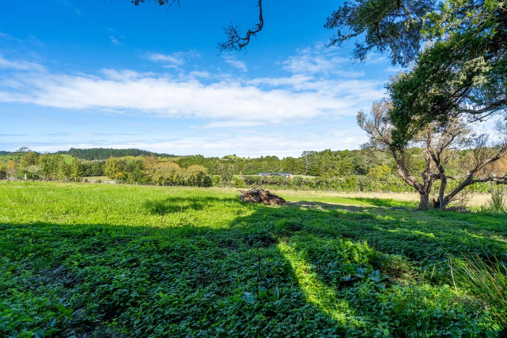Photos of 382 Whareora Road