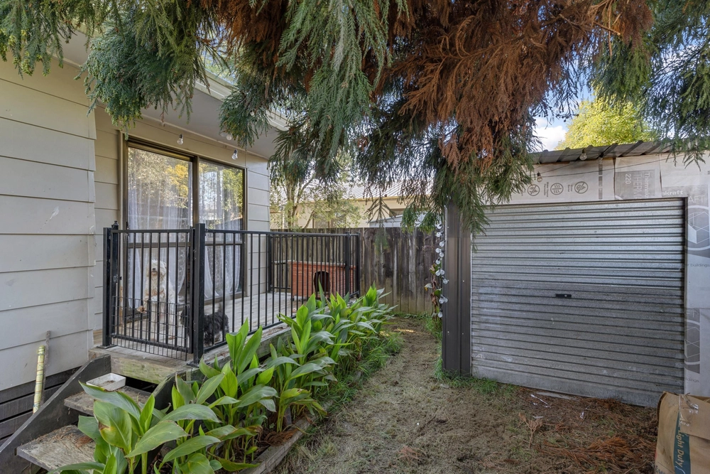 Photos of 25B Dominion Road