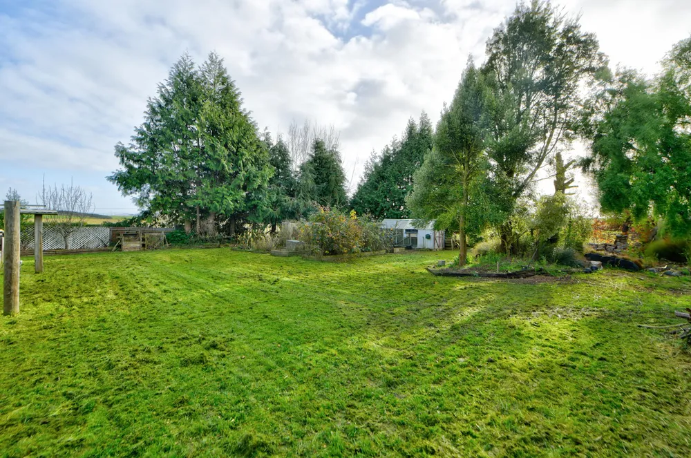 Photos of 136 Frank Street