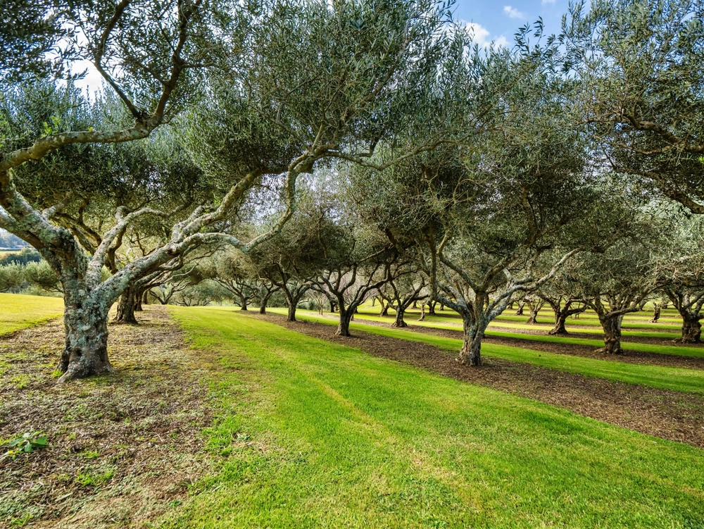 Photos of 265A Hot Springs Road
