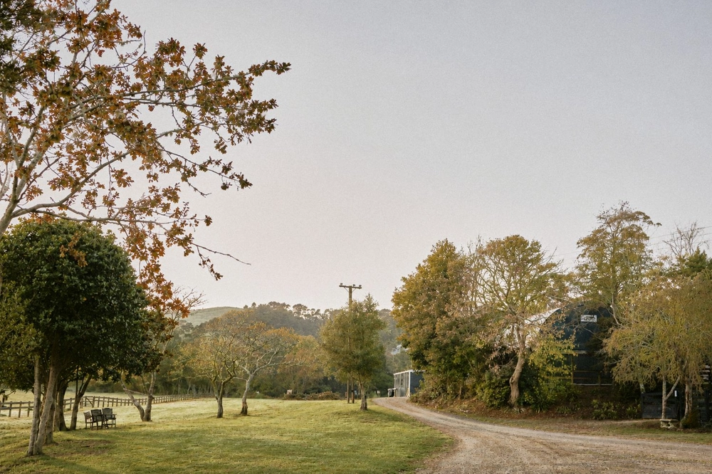 Photos of 114 Ness Valley Road