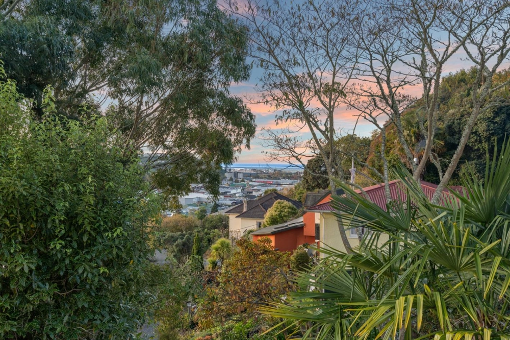 Photos of 2 Konini Street