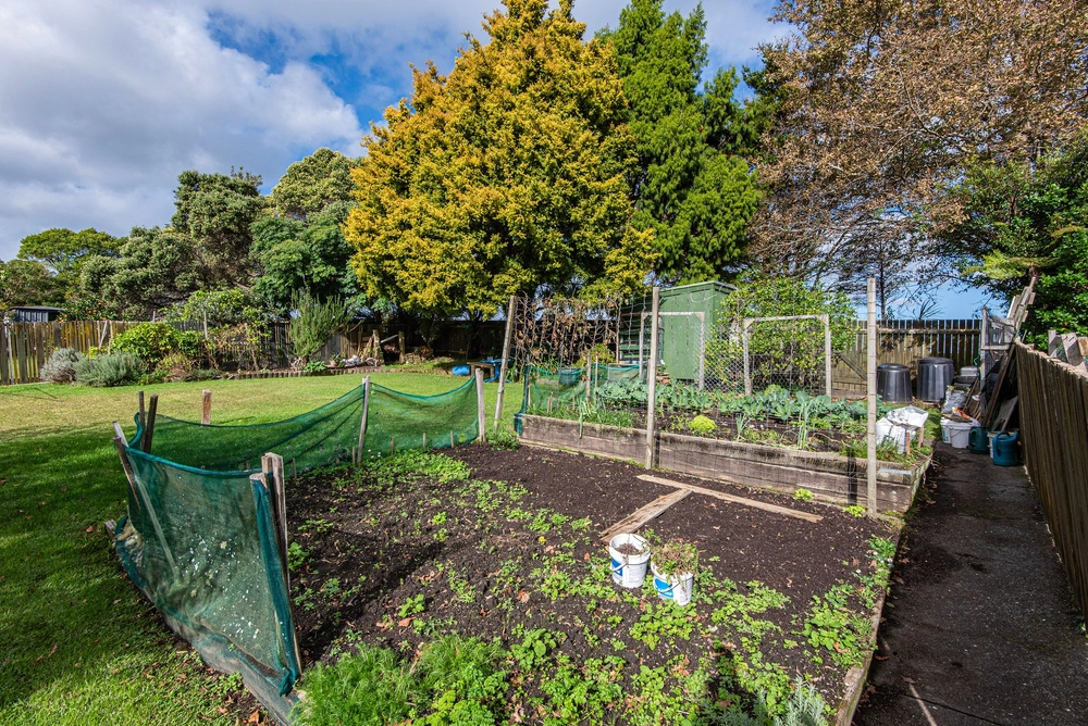 Photos of 16 Sorrento Street