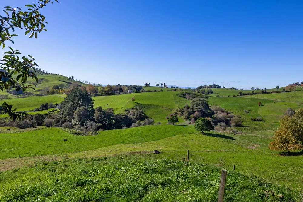 Photos of Unit 3, 957 Taotaoroa Road