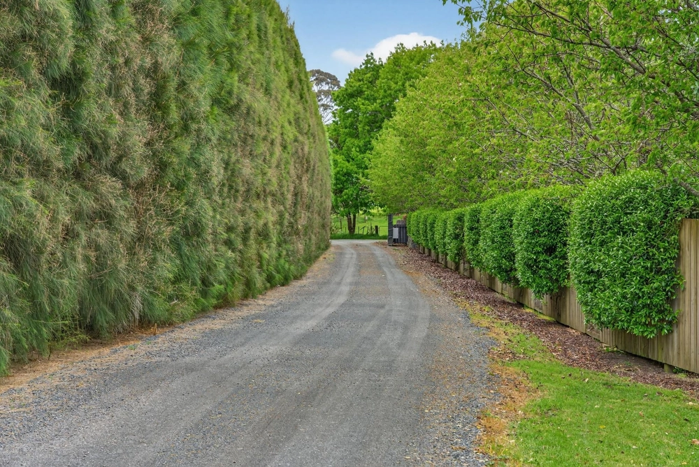 Photos of 333 Tuhimata Road
