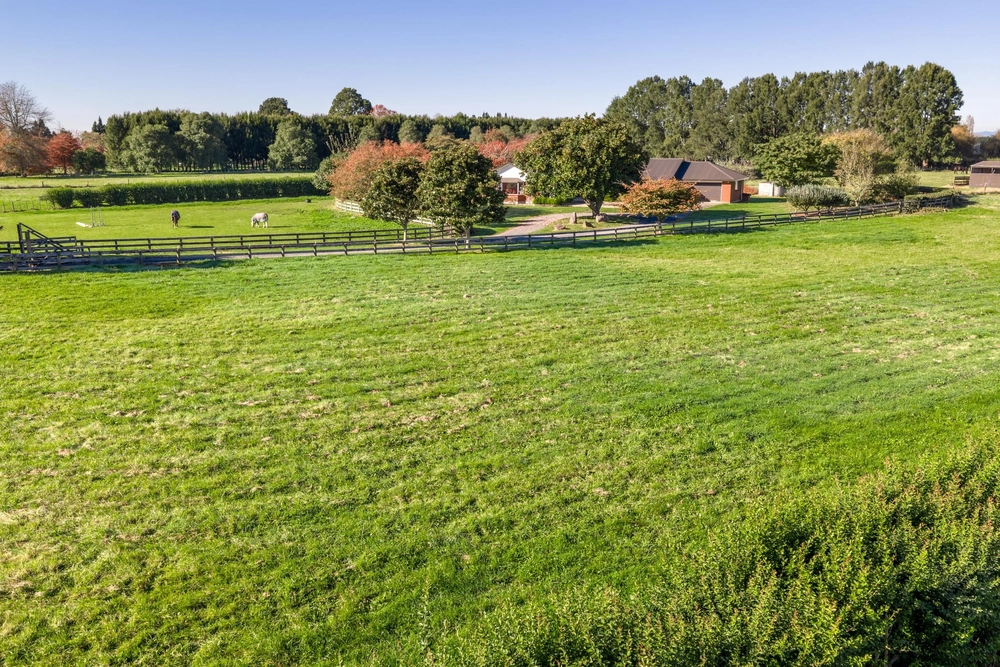 Photos of 310 Mystery Creek Road