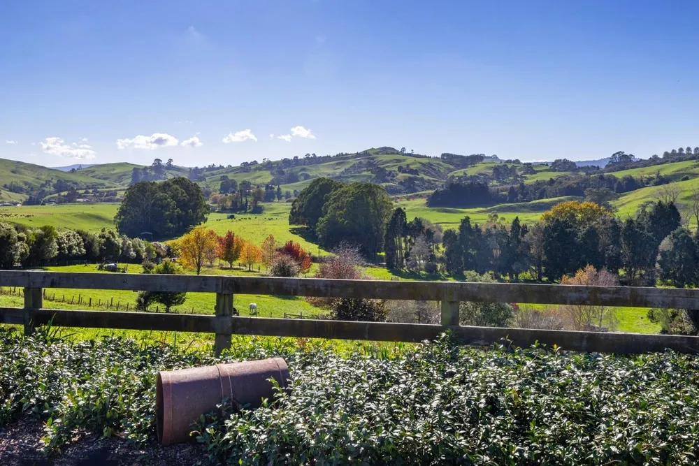 Photos of Unit 3, 957 Taotaoroa Road