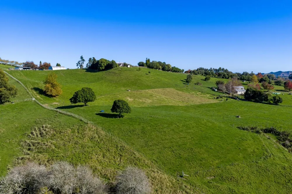 Photos of Unit 3, 957 Taotaoroa Road