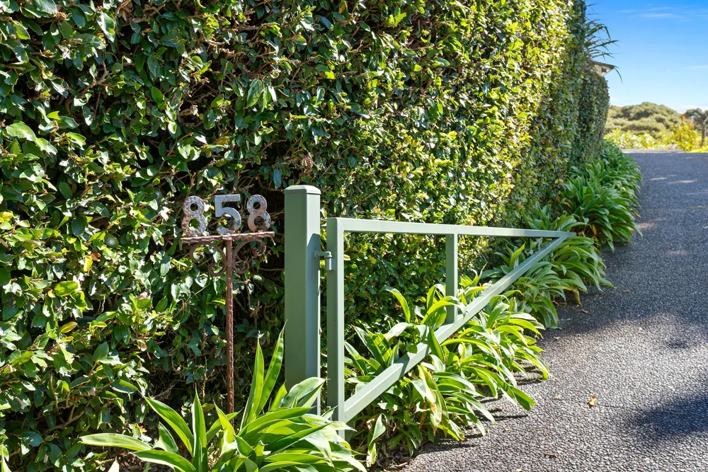 Photos of 858 West Coast Road
