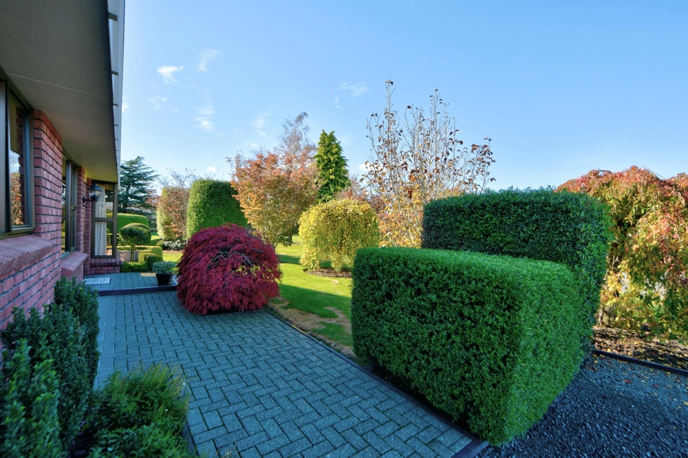 Photos of 3 Raeburn Place