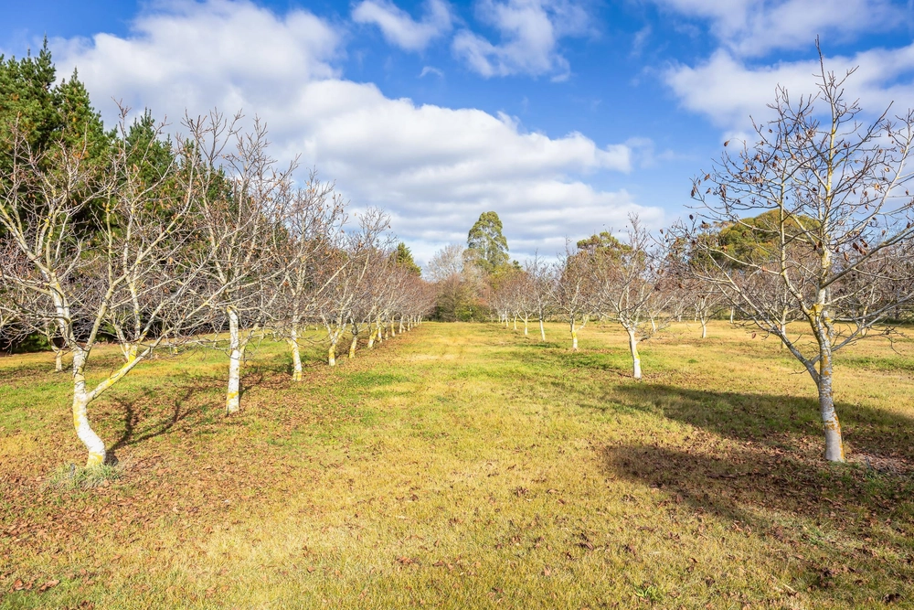 Photos of 138 Harrs Road