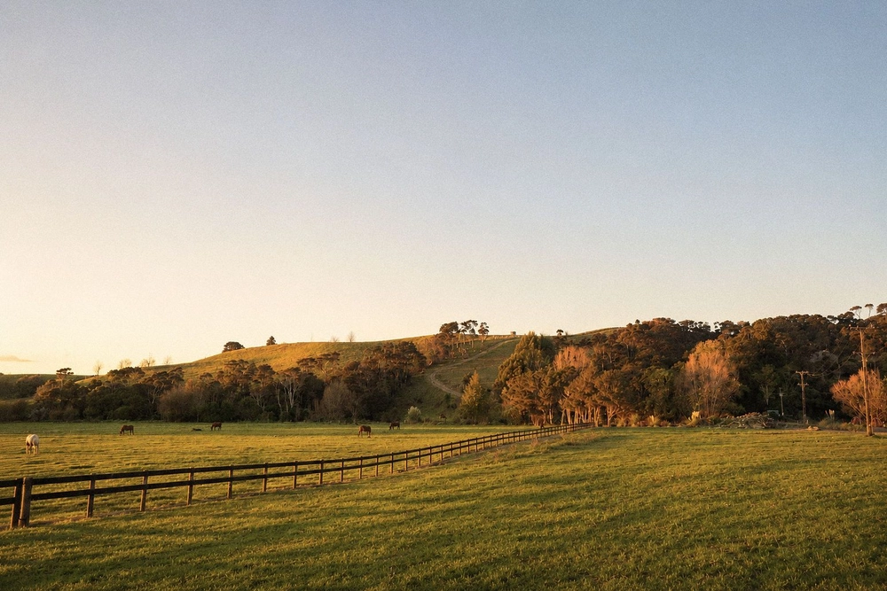 Photos of 114 Ness Valley Road