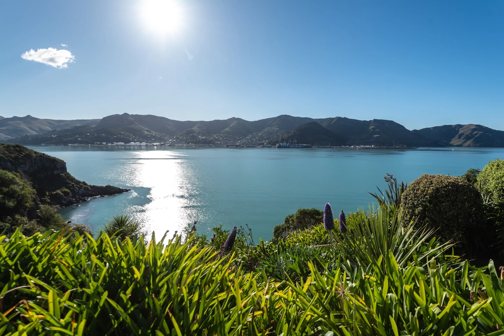 Photos of 2/35 Ranui Crescent