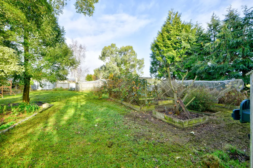 Photos of 136 Frank Street
