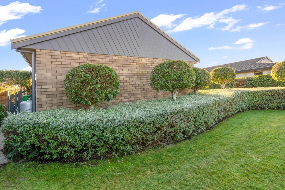 Photos of 28 Vogel Street