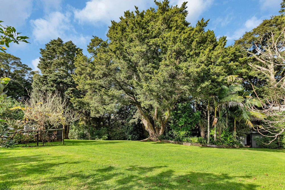 Photos of 270 Vinegar Hill Road