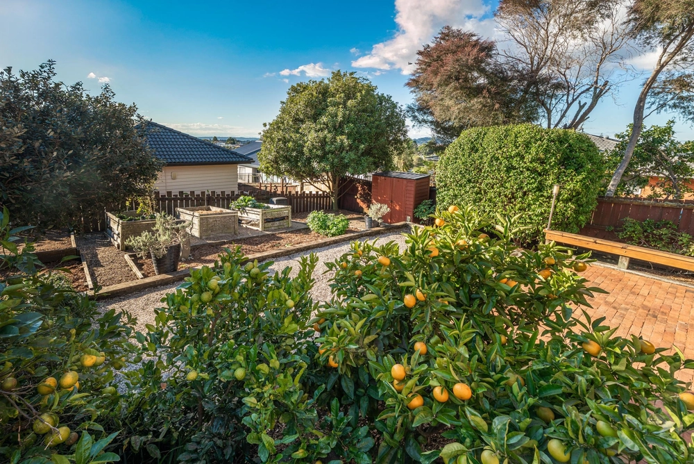 Photos of 18 Hepper Street