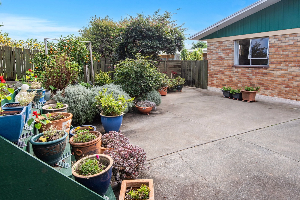 Photos of 16 Sorrento Street