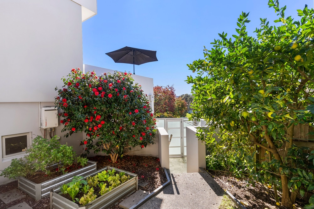 Photos of 93 Tautari Street