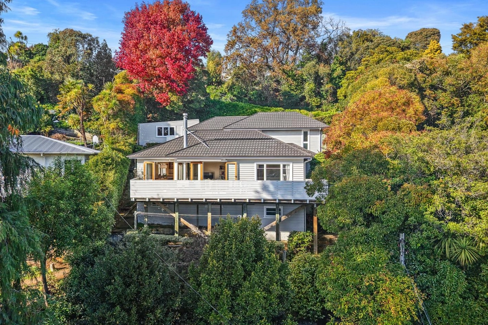 Photos of 2 Konini Street