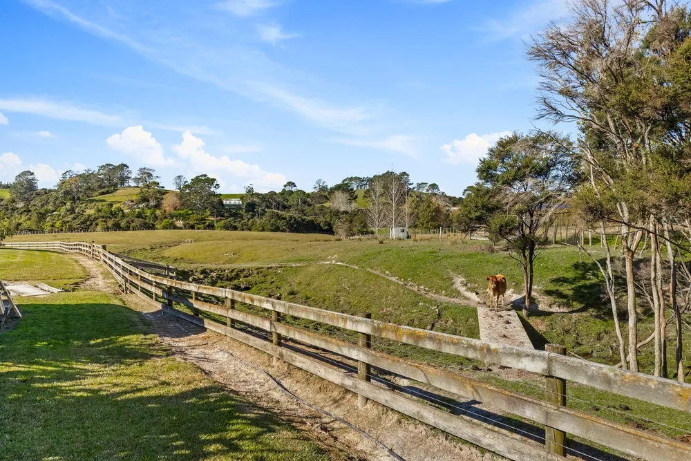 Photos of 246 Blackbridge Road