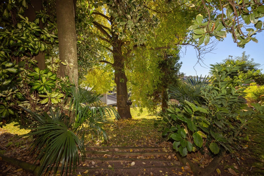 Photos of 5 Bellfield Place