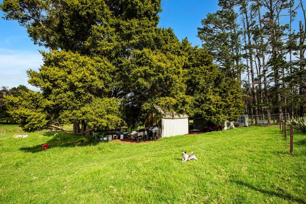 Photos of 27 Hodge Road