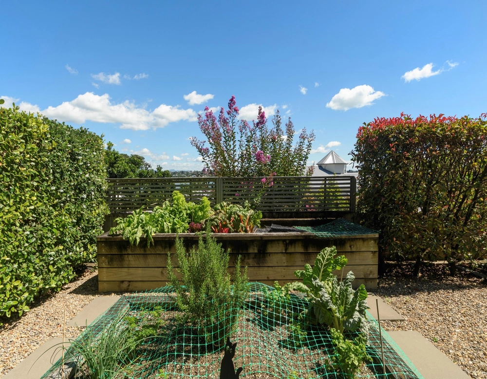 Photos of 5 Edgecumbe Road